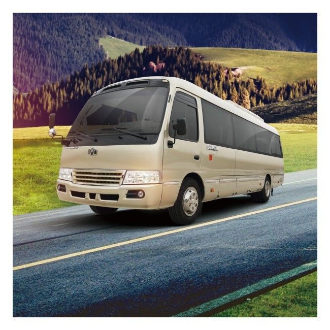 los 6m 19 energía de Zev Bus LHD de los asientos recuperan a Mini Bus eléctrico puro 89,7 KVH